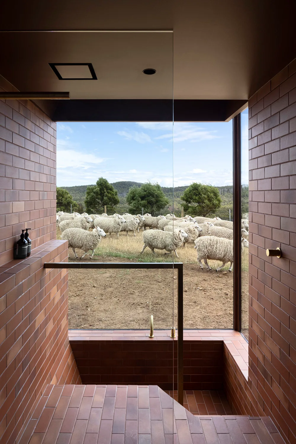 A walk-in shower with terracotta brick walls and floors features a large picture window showcasing a herd of sheep in a grassy field.