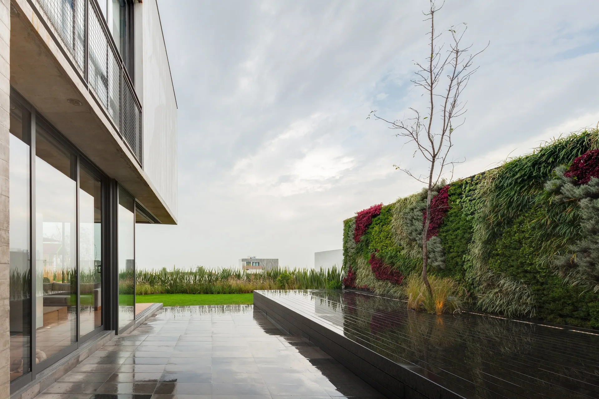 A modern concrete patio features a lush vertical garden wall, a sleek black reflecting pool, and large grey stone tiles under an overcast sky.