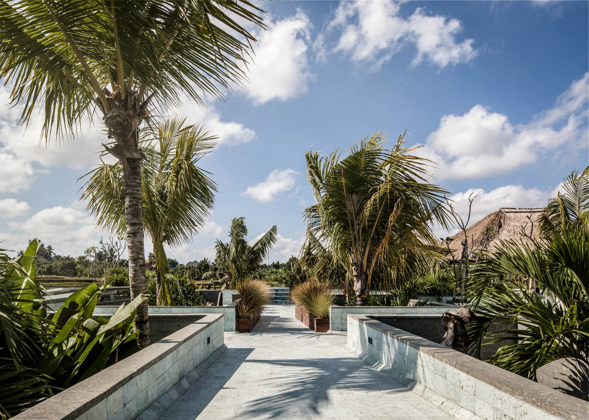 A symmetrical tiled stone walkway is bordered by low garden planters and tropical palm trees under a bright blue sky.