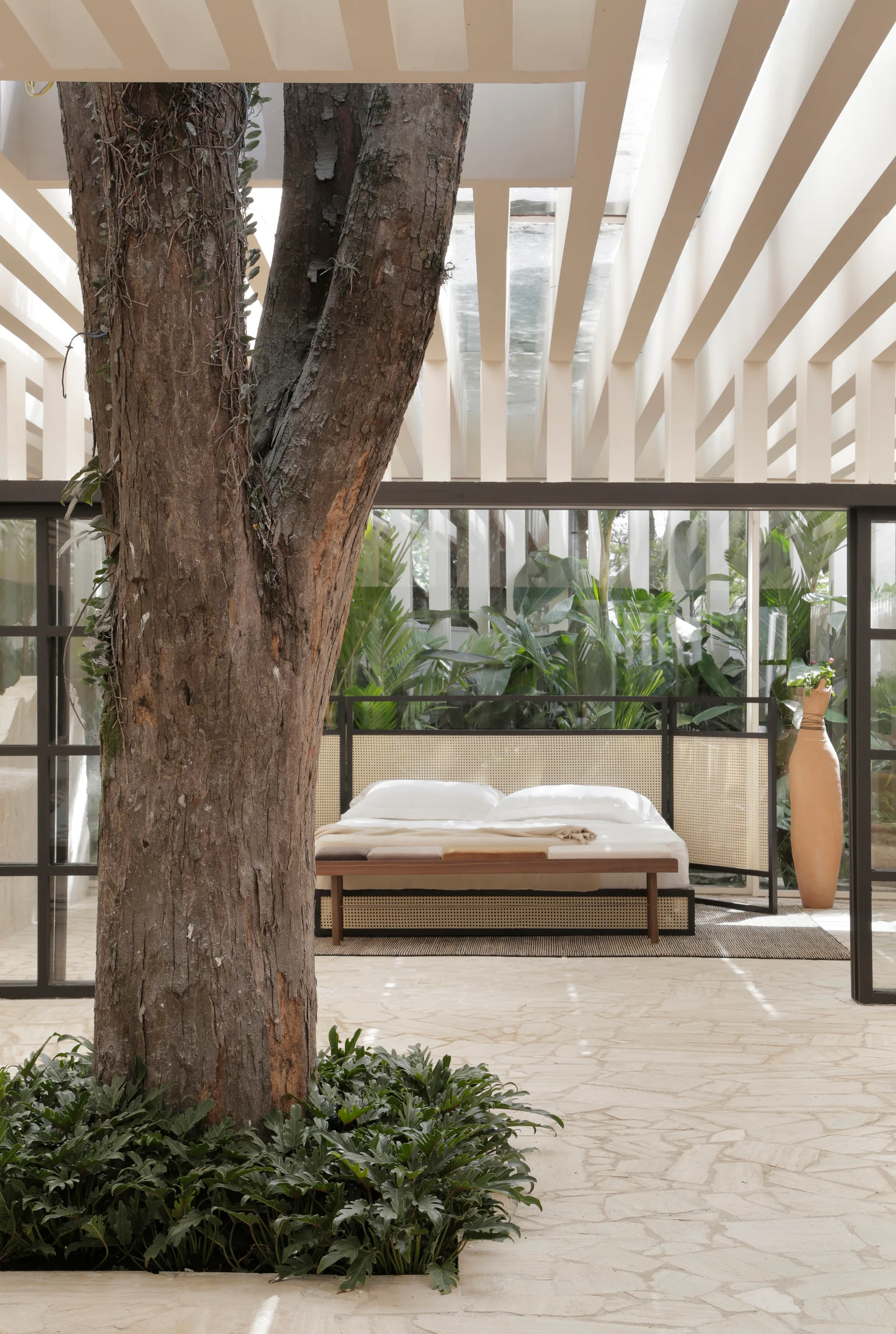 An atrium-style bedroom features a large indoor tree trunk growing from the stone floor, a woven cane bed, and a slatted ceiling with skylights.