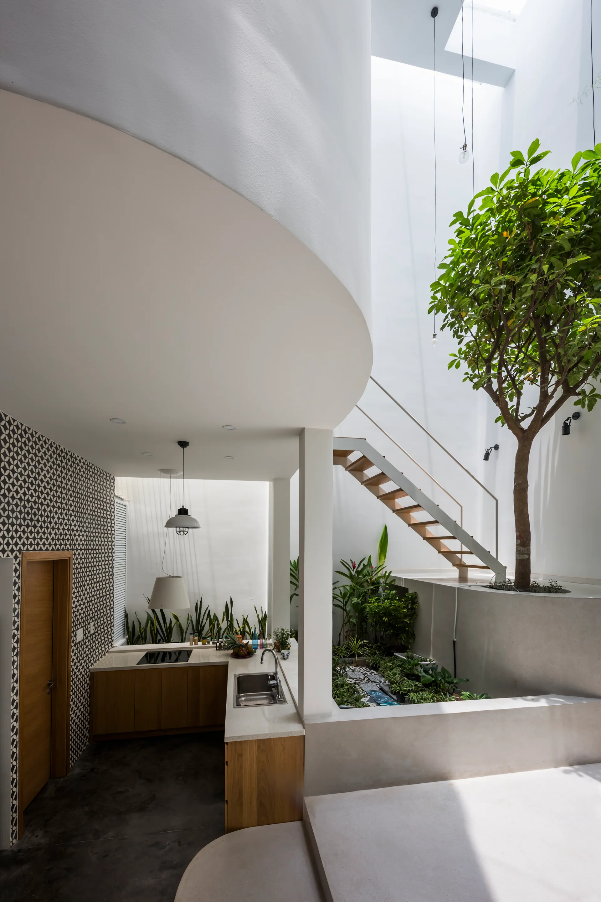 A minimalist kitchen with wood cabinets sits adjacent to a bright indoor atrium featuring a tall tree, plants, a floating staircase, and a skylight.