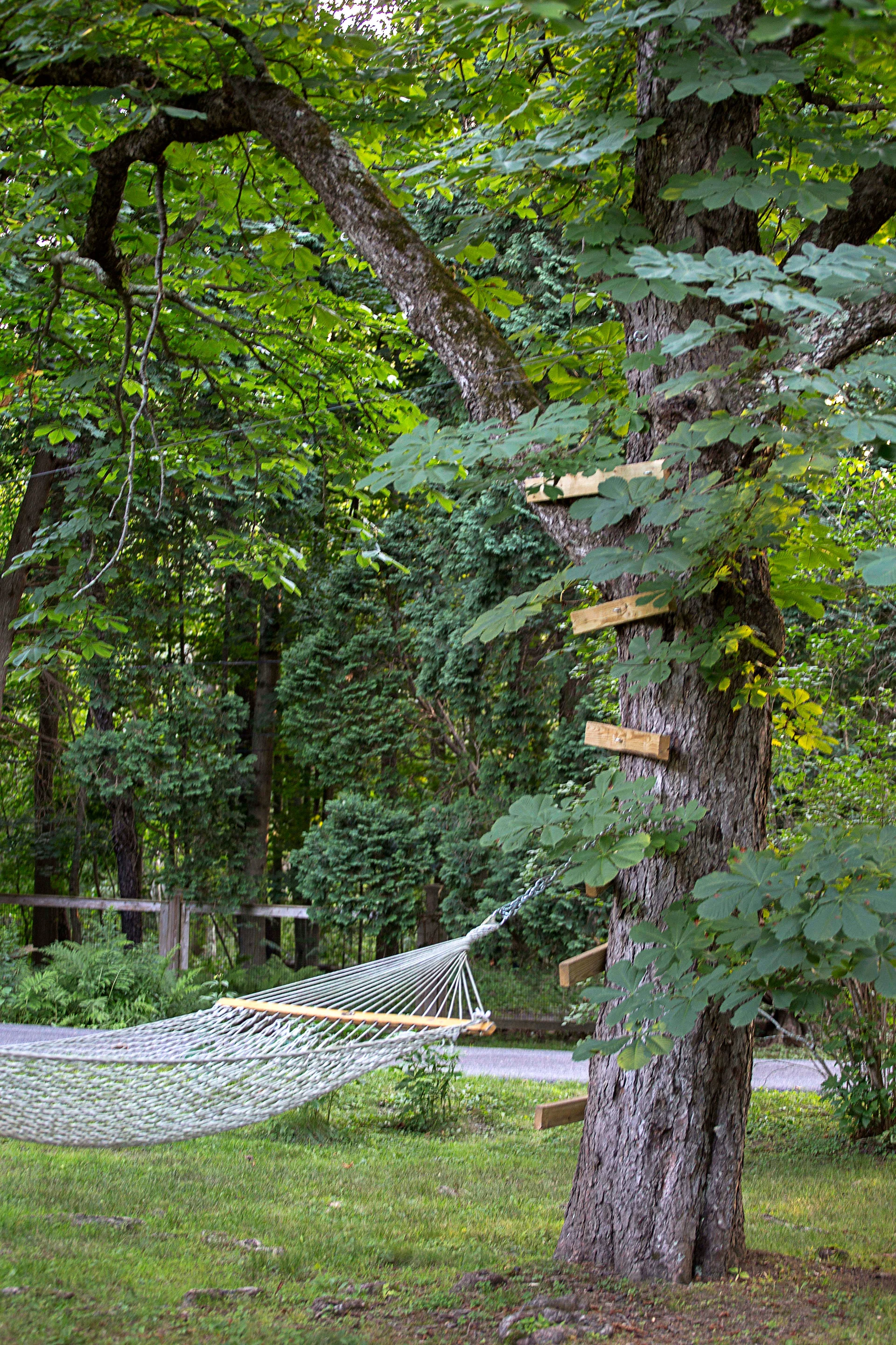 A woven rope hammock is suspended from a large tree trunk fitted with wooden climbing blocks in a grassy yard.