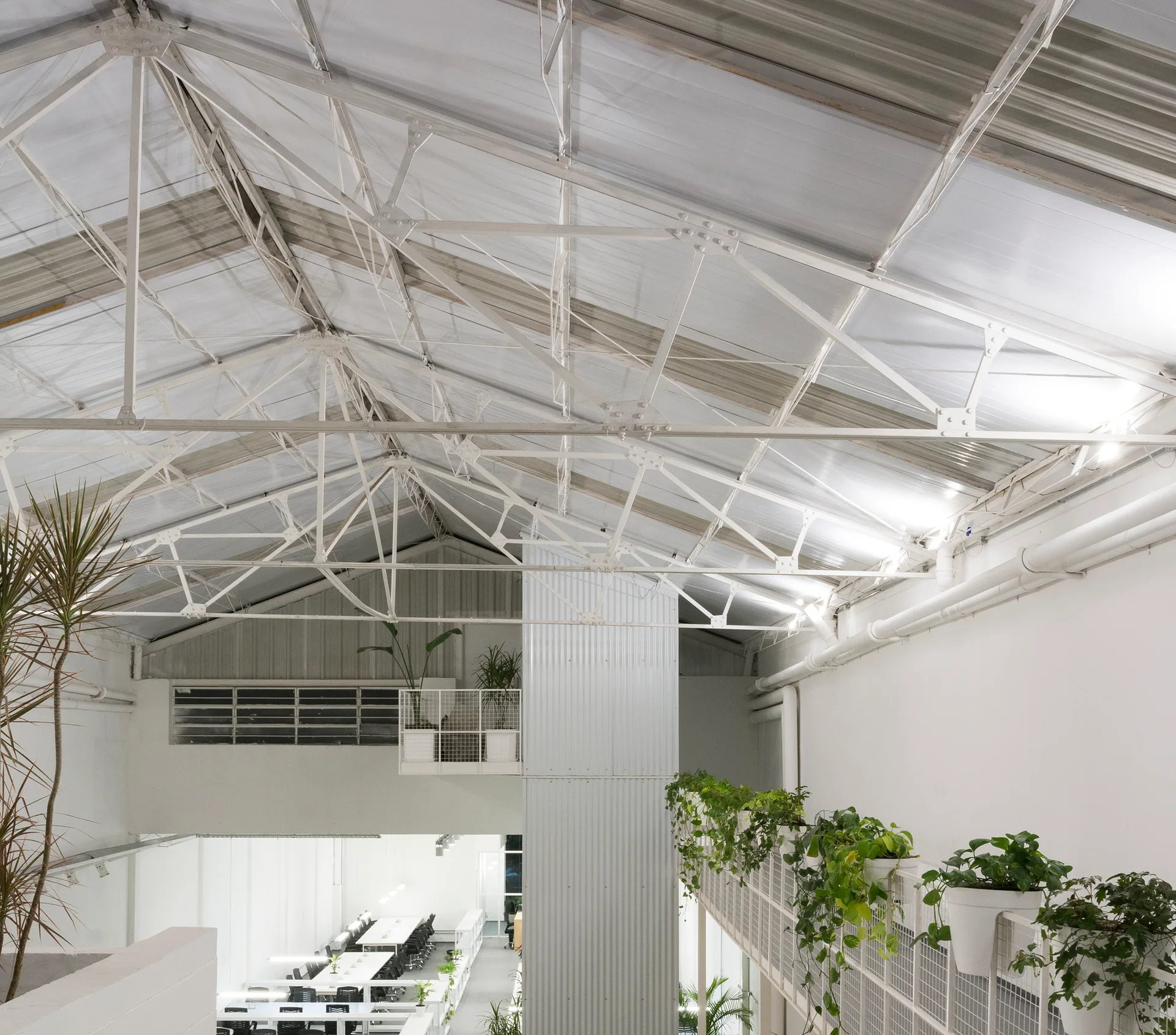 An industrial open-plan office features a high vaulted white metal truss ceiling, a corrugated metal wall column, and green plants on a grid balcony.