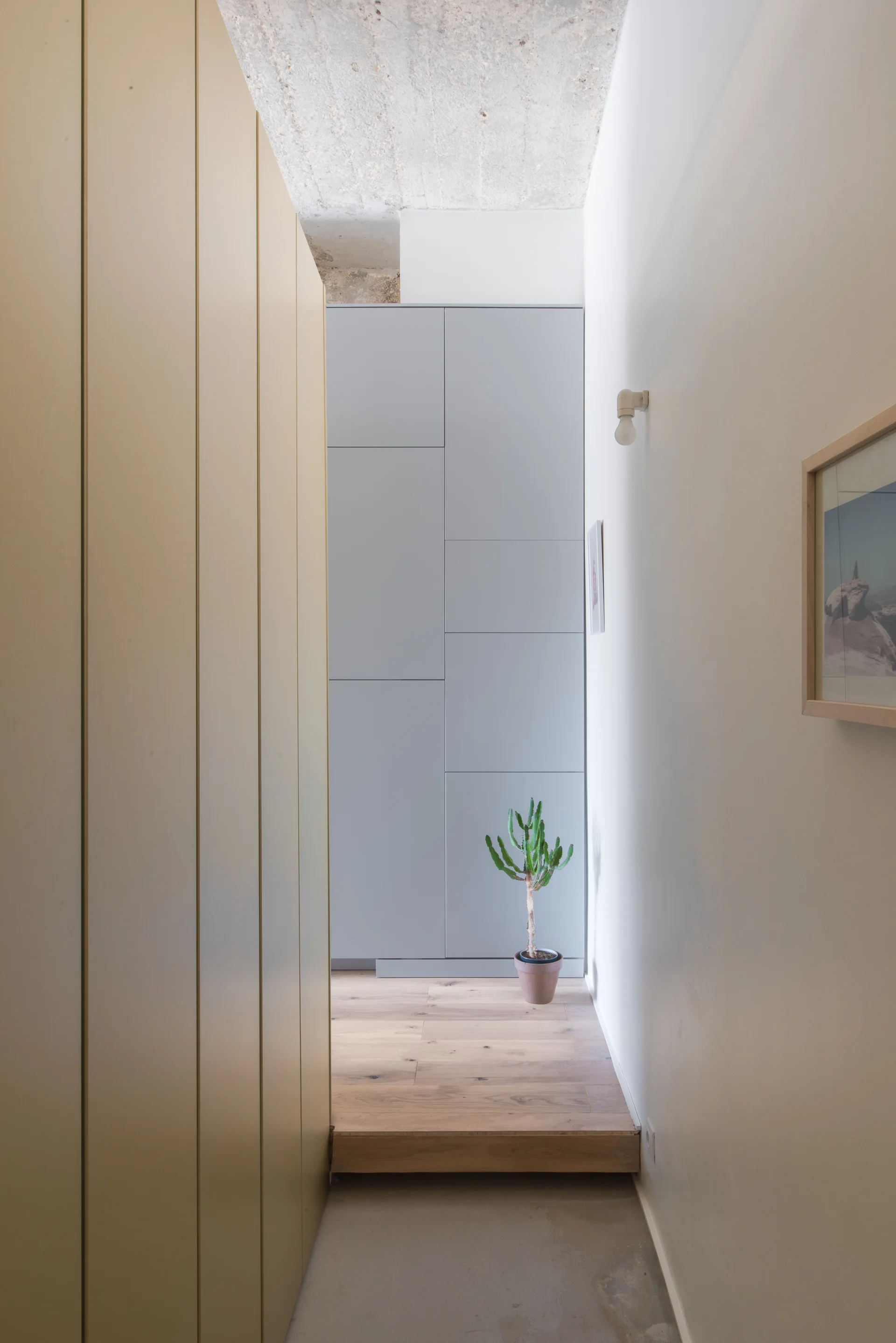 A minimalist hallway features tall grey and beige built-in cabinets, a raised wood plank floor, an exposed concrete ceiling, and a small potted cactus.