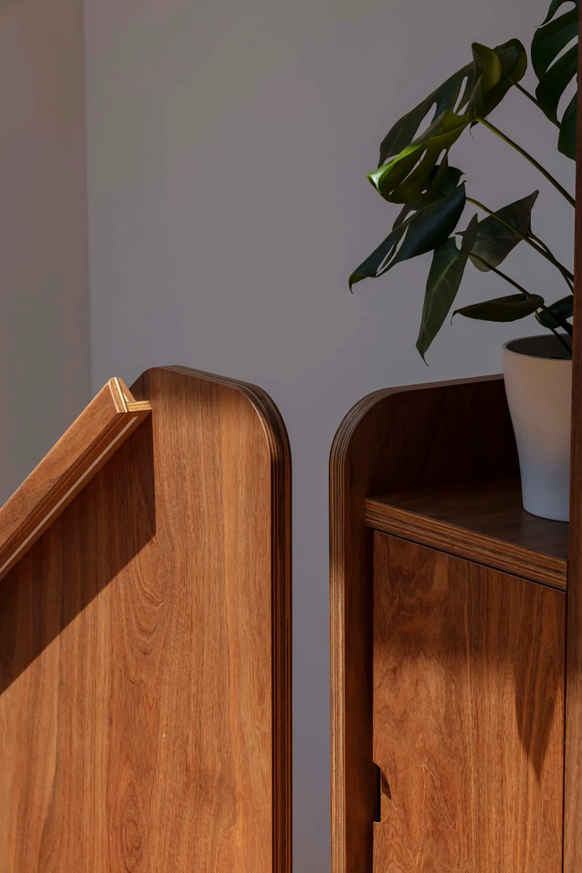 A close-up of a warm wood plywood cabinet featuring curved corners with exposed edge details and a potted plant on top.