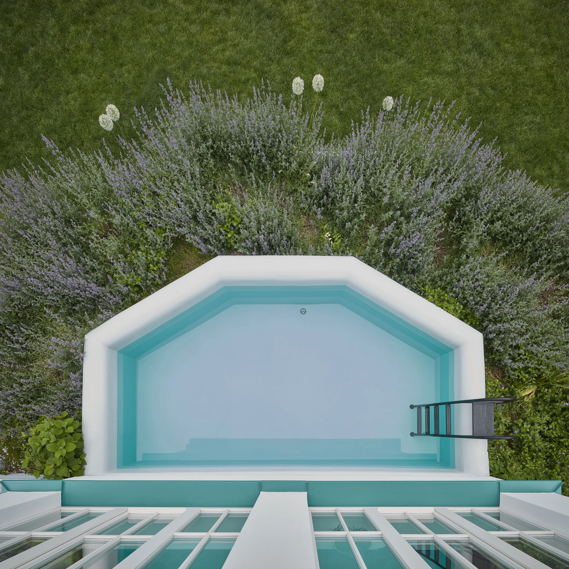 An aerial view of a geometric white-trimmed swimming pool nestled against a house and surrounded by purple flowering plants and a green lawn.