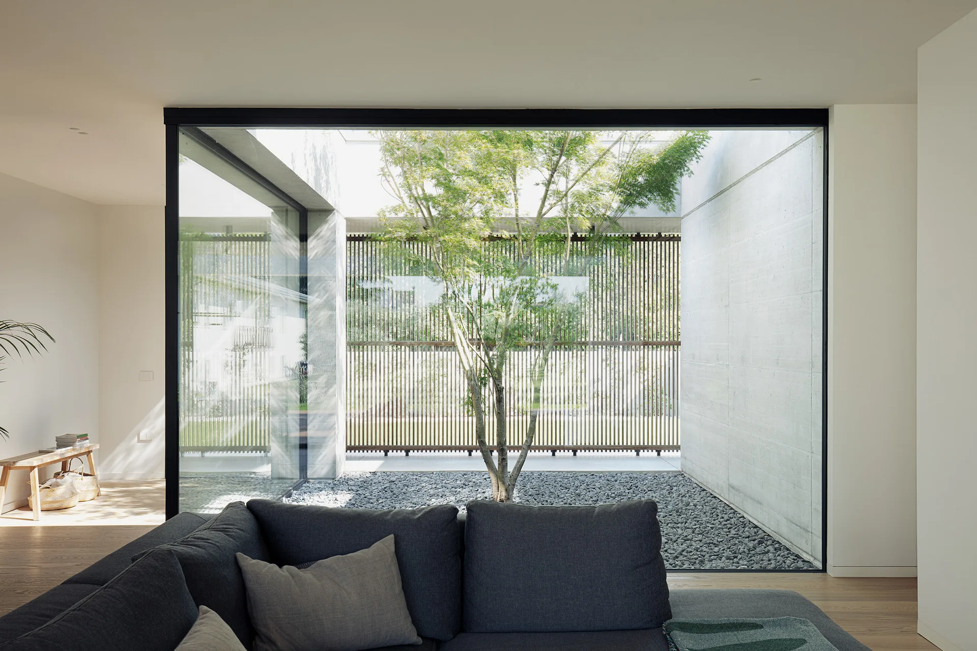 A grey sofa in a minimalist living room faces a large glass wall showcasing an internal gravel courtyard with a central tree and a slatted screen.