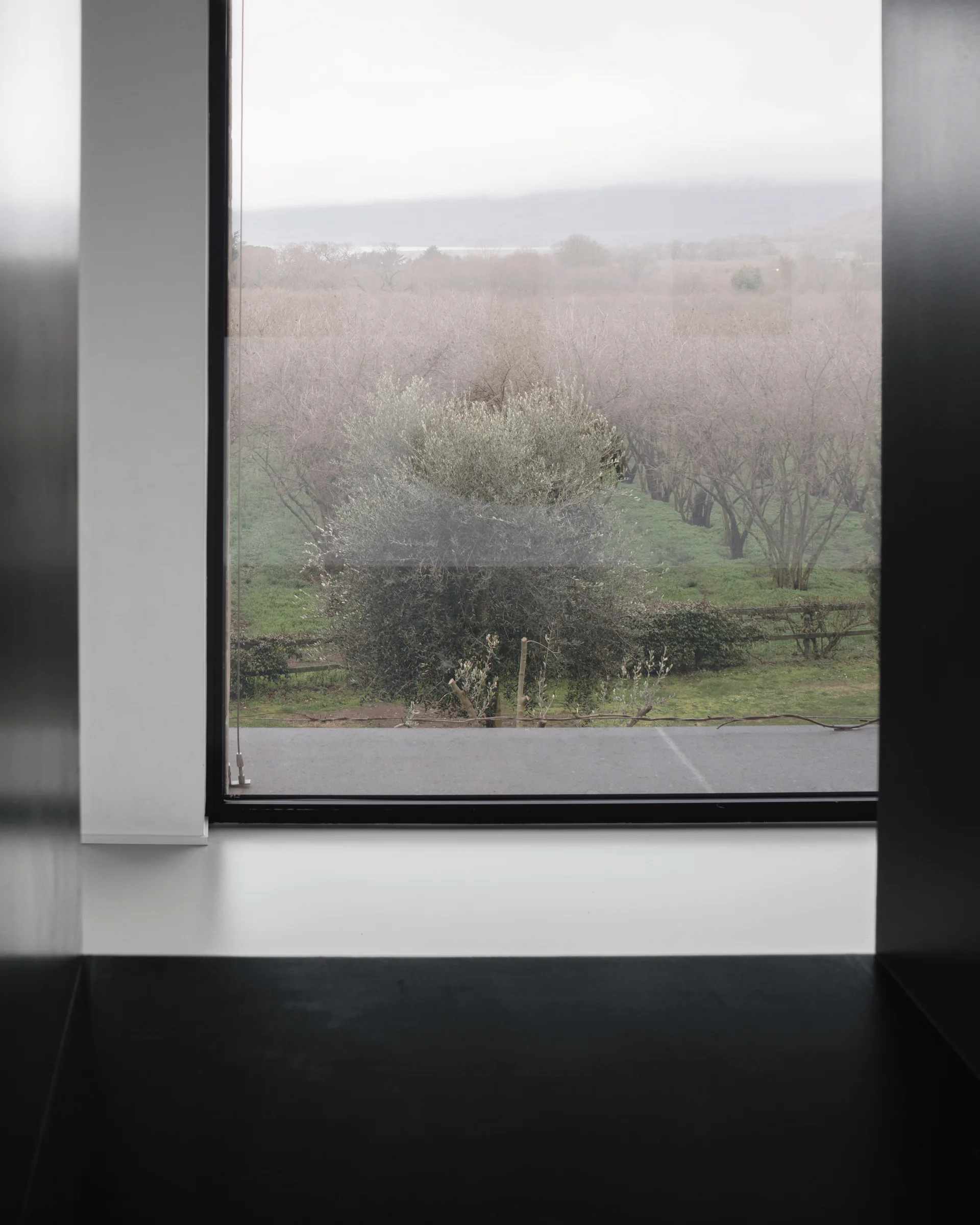 A close-up view through a thick matte black window frame looking out to a green orchard and misty trees under an overcast sky.