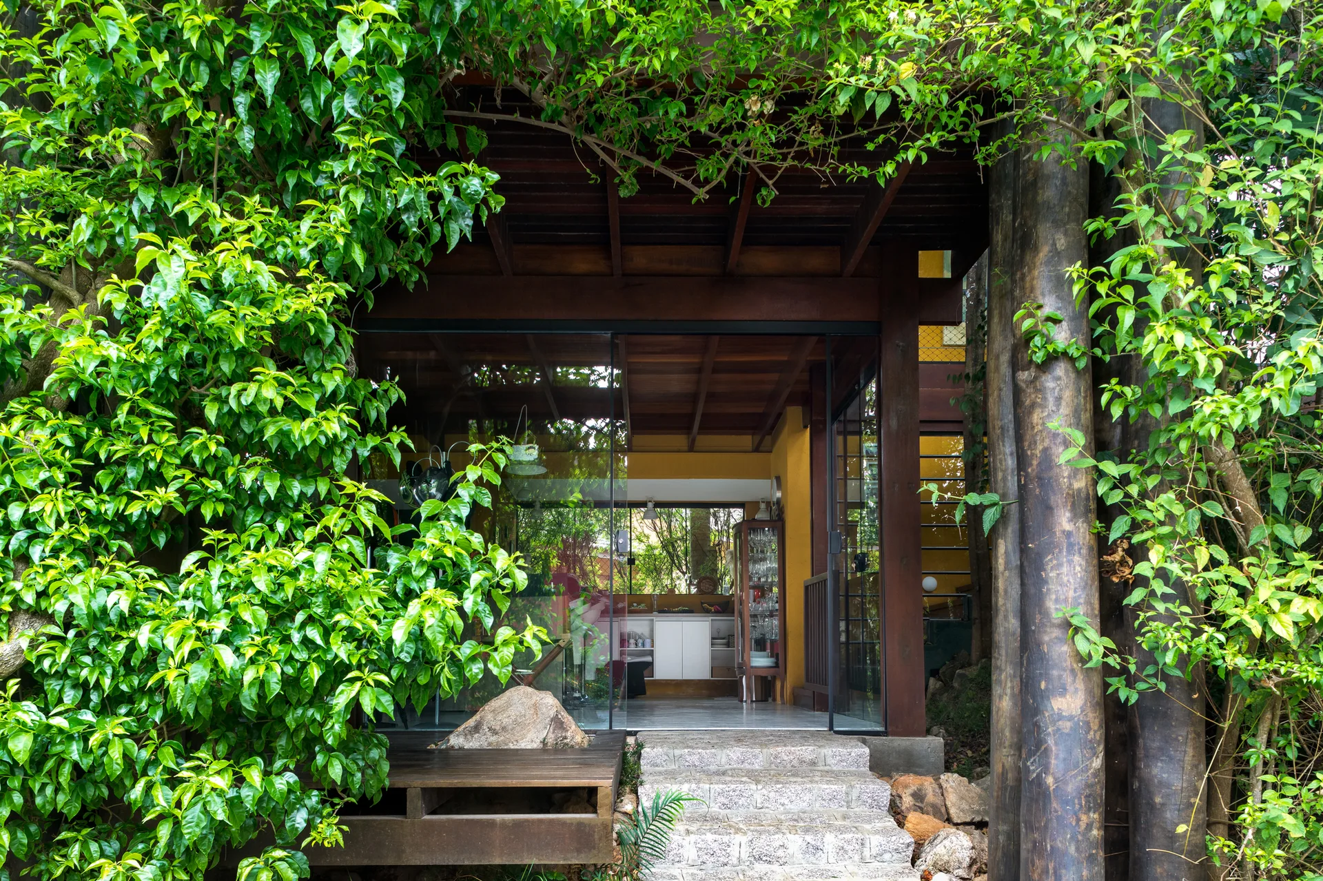 Stone steps lead to a wooden deck with a built-in boulder, opening into a glass-walled home surrounded by thick green vines.
