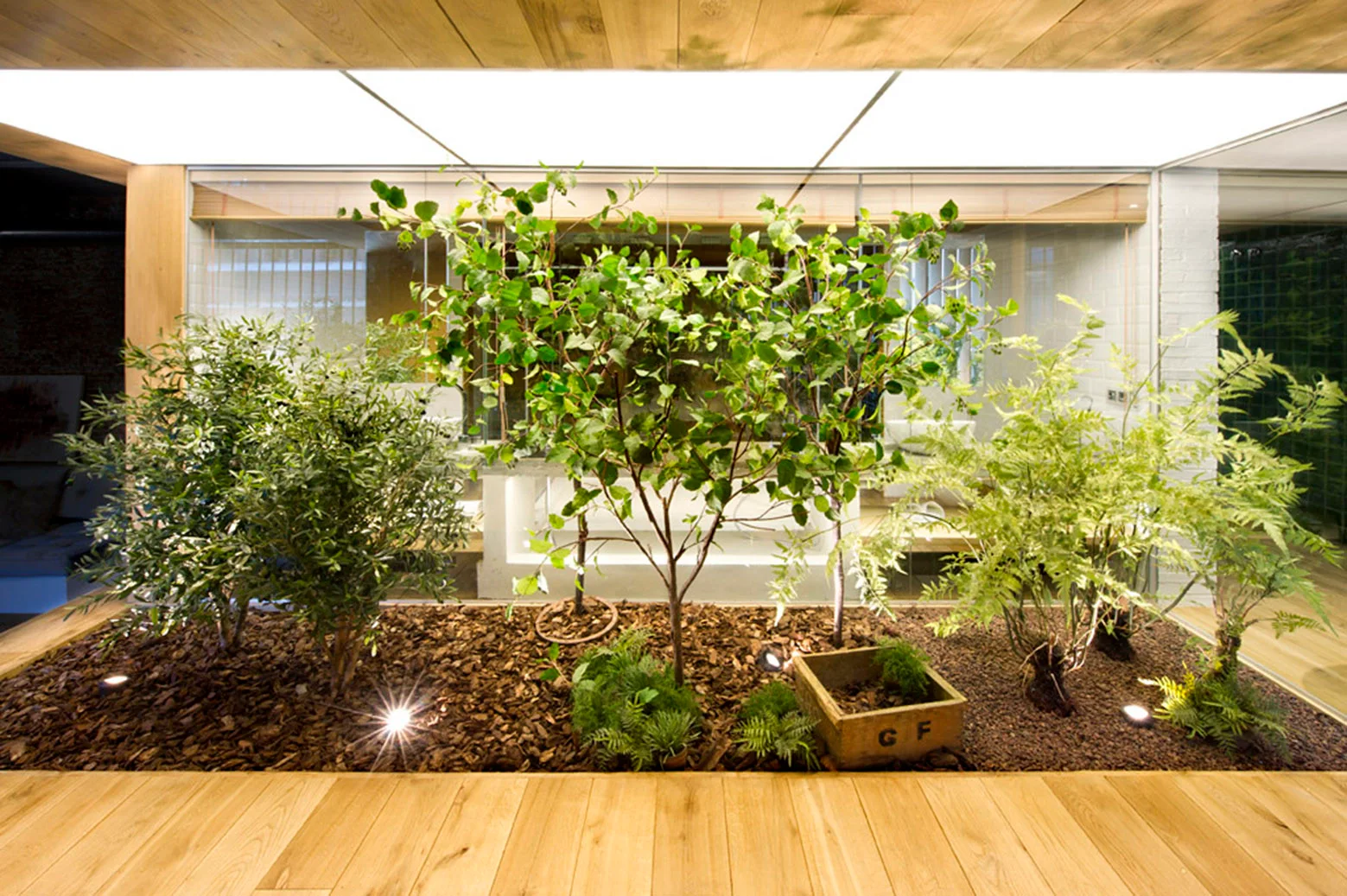 An indoor courtyard garden features small trees and ferns in a mulch bed, enclosed by glass walls and finished with wood plank ceilings and floors.