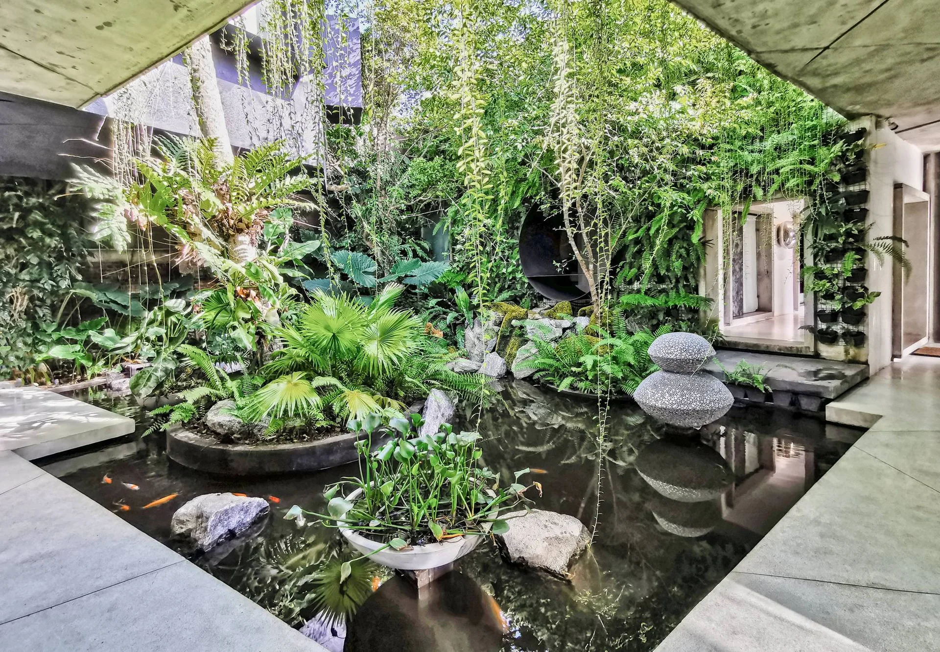 An indoor-outdoor atrium courtyard features a concrete structural frame, a central koi pond with fish, and dense tropical plants hanging from walls.