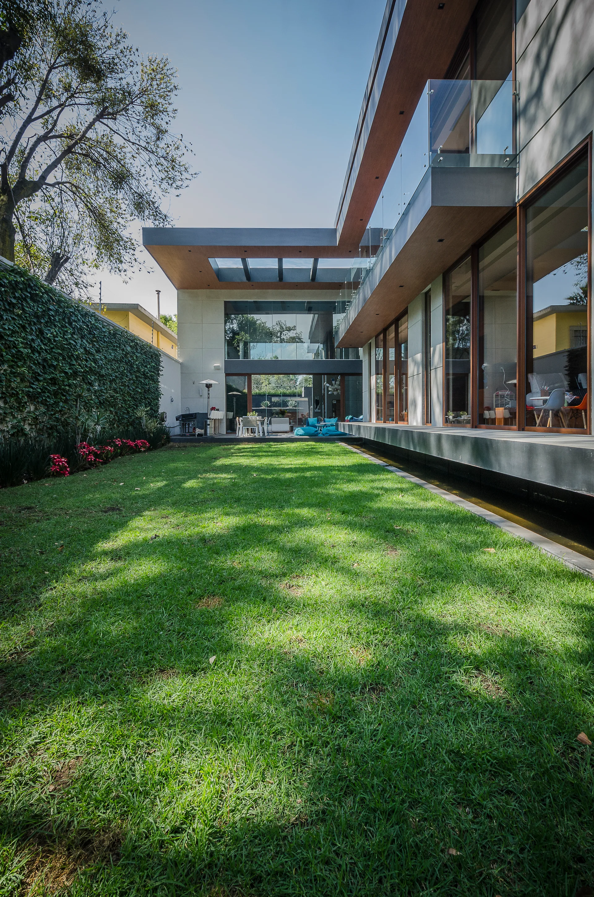 A modern two-story house with glass walls features a green lawn bordered by a tall ivy wall and a narrow reflection pool.