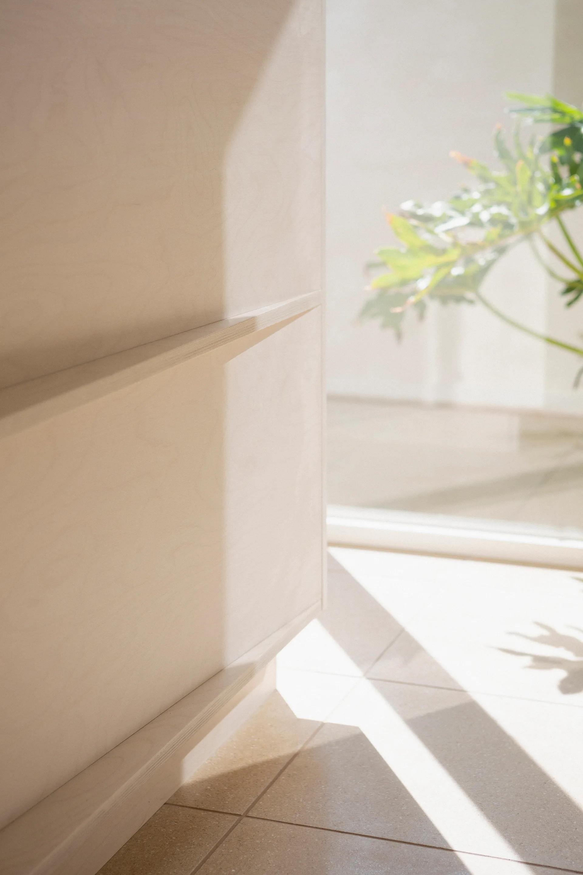 A close-up of light-colored plywood cabinets featuring an integrated beveled pull, with natural sunlight casting shadows onto a tiled floor.