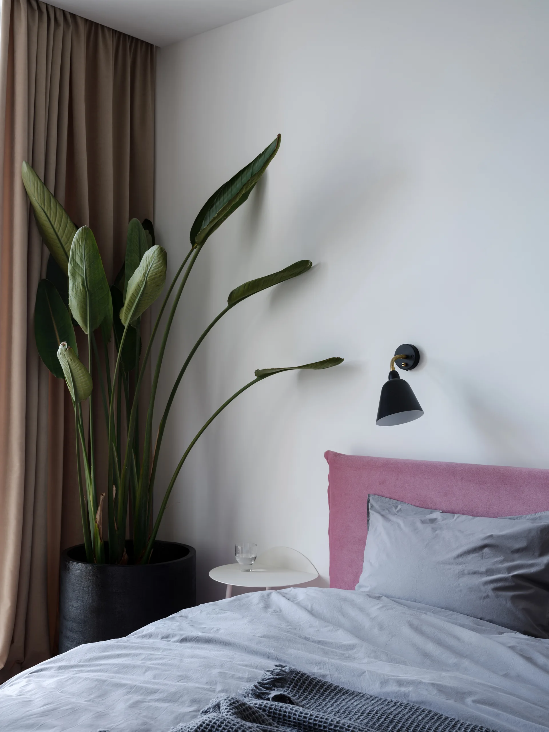 A bedroom corner featuring a pink upholstered headboard, grey bedding, a black wall sconce, and a tall bird of paradise plant.