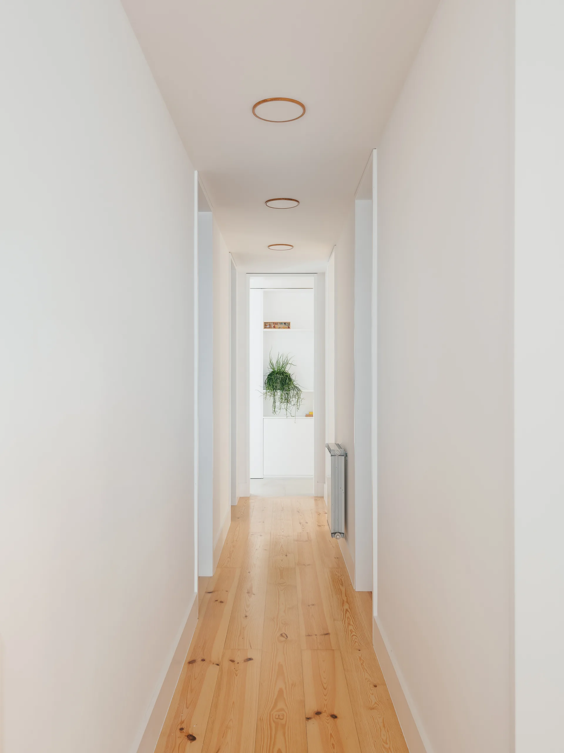 A long minimalist white hallway featuring natural wood plank flooring and circular recessed ceiling lights leading toward a green plant.
