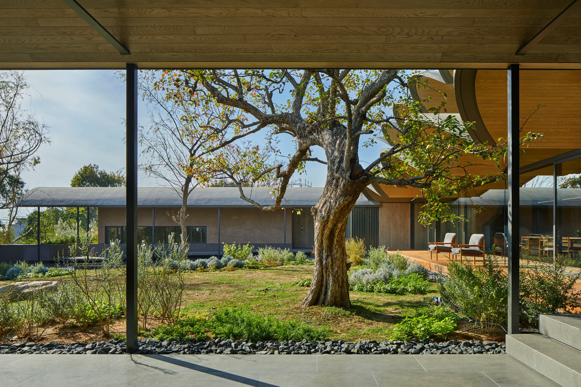 View from a sheltered stone patio looking out onto a sunny green courtyard garden with a large mature tree and a wooden deck.