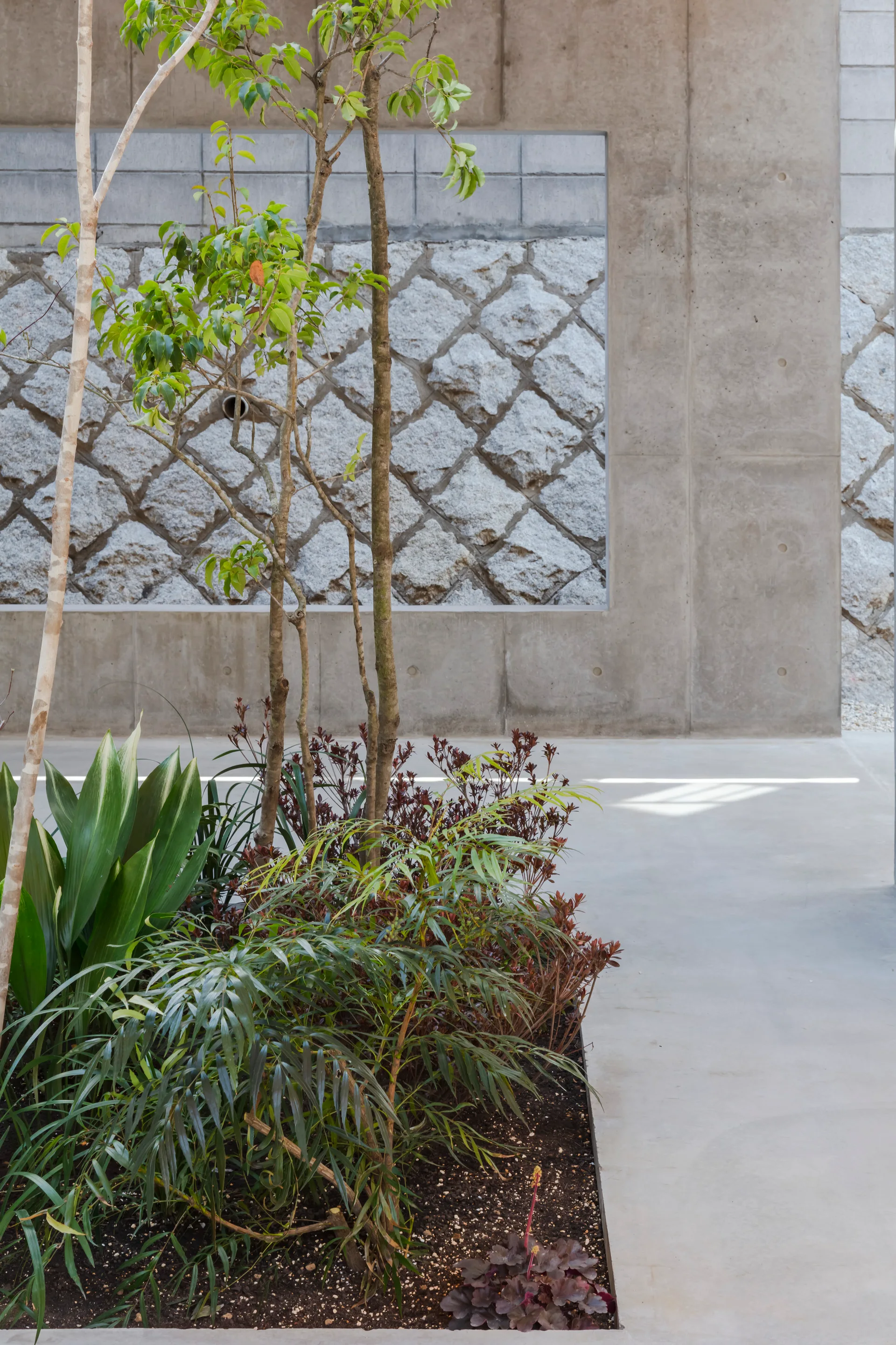 A concrete courtyard features a sunken garden bed with green foliage and a rectangular opening framing a diamond-patterned stone wall.