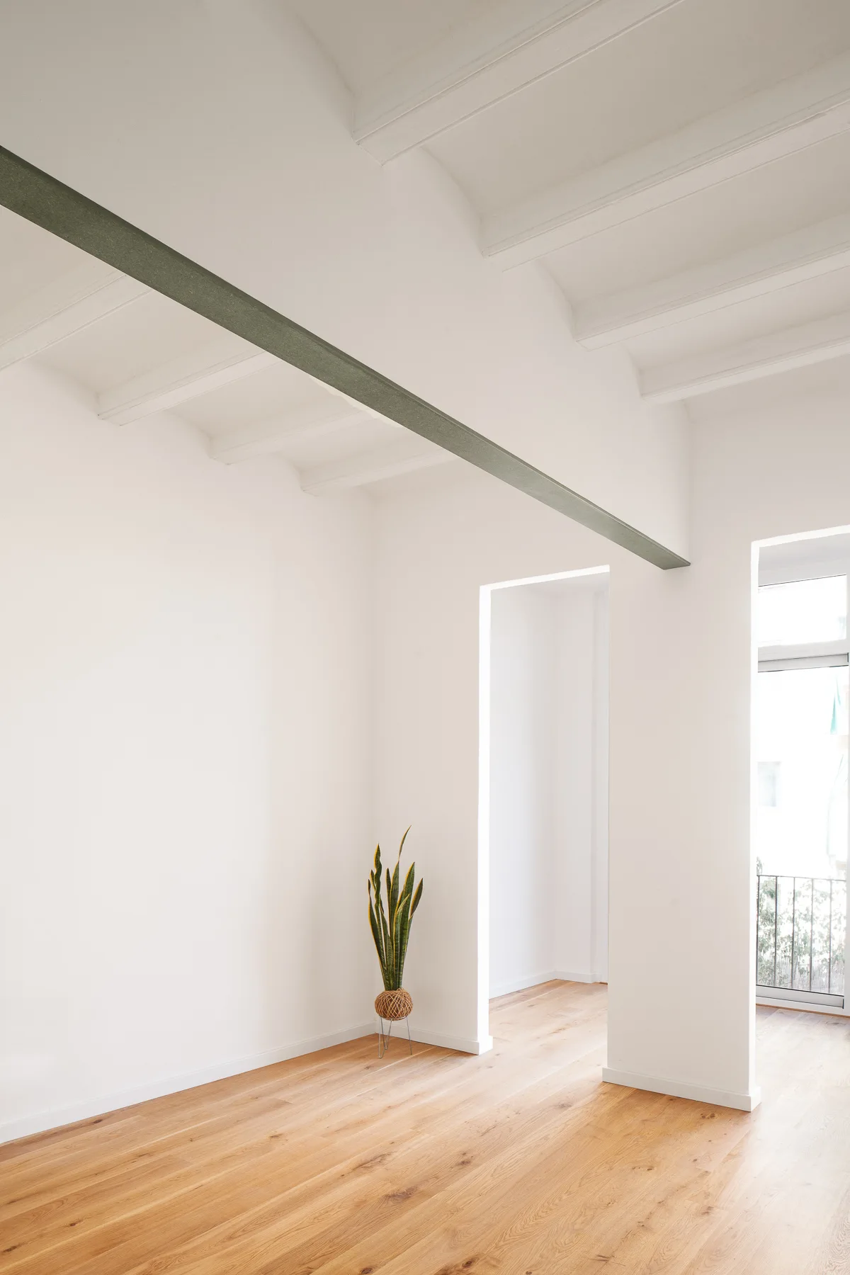 An empty white room features light oak flooring, exposed ceiling beams, a single dark steel support, and a potted snake plant in the corner.