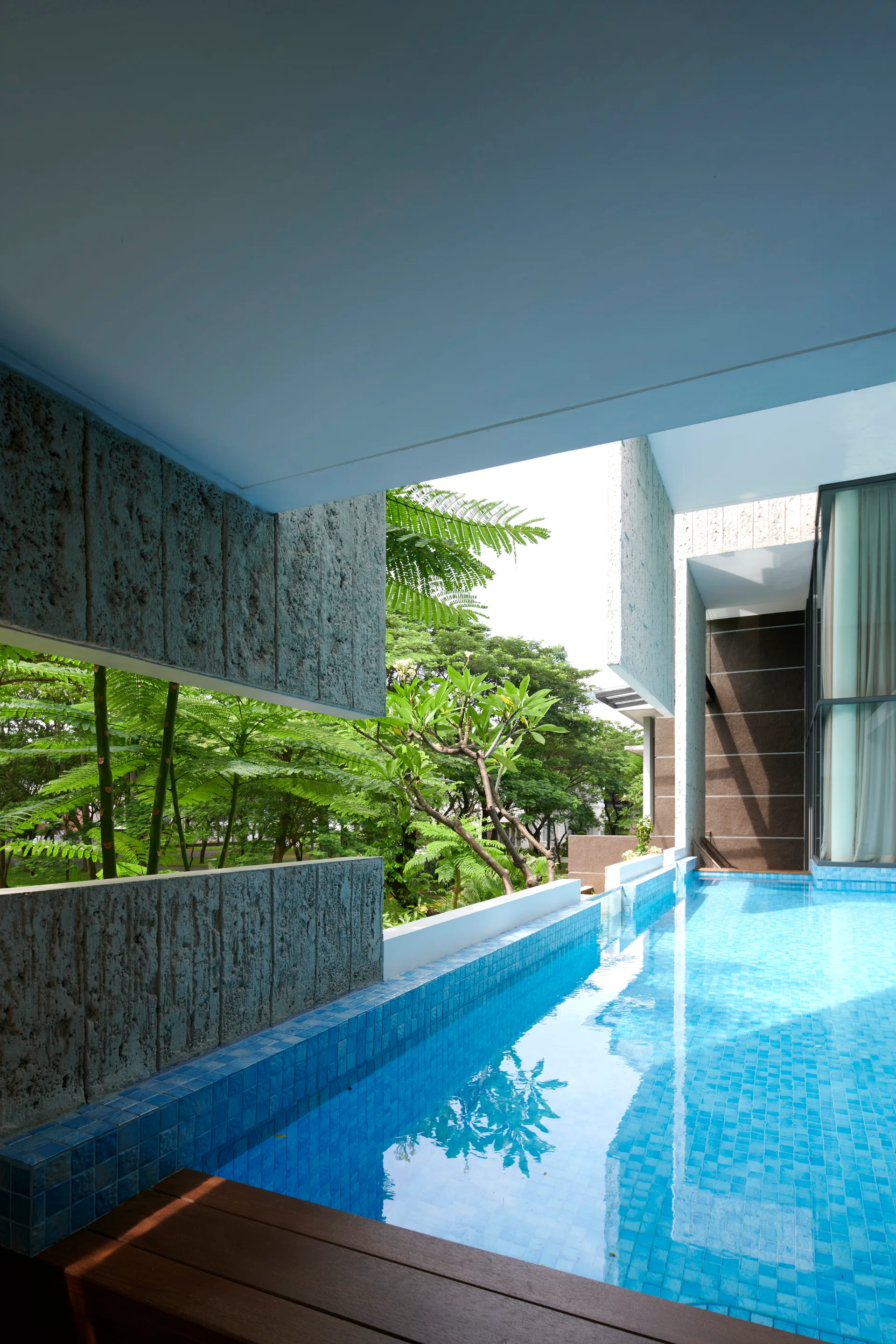 A blue tiled lap pool runs alongside a rough grey textured wall with a horizontal window cutout showing lush green garden foliage.