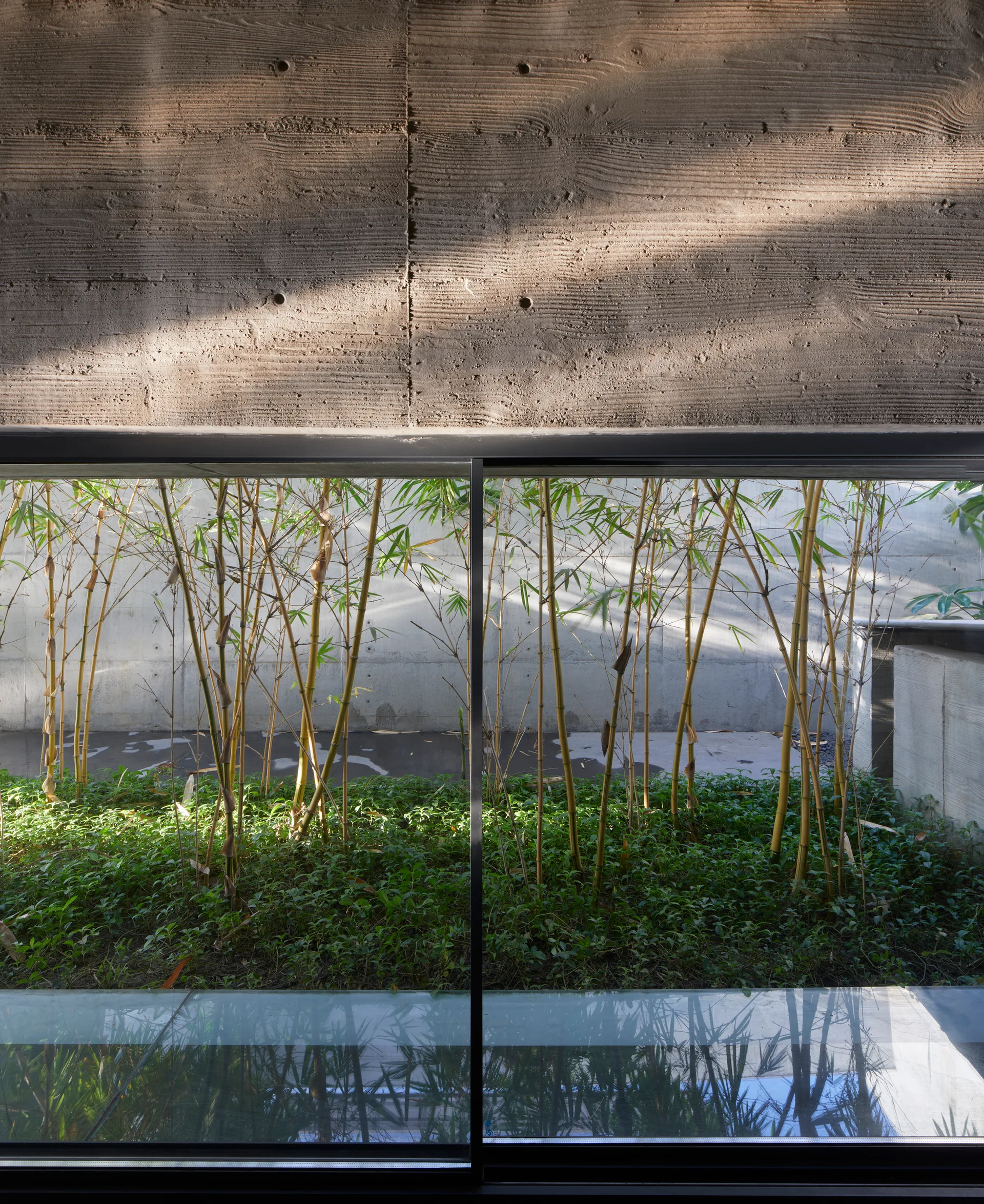 A wide horizontal window frames a small bamboo garden set against a textured board-formed concrete wall.