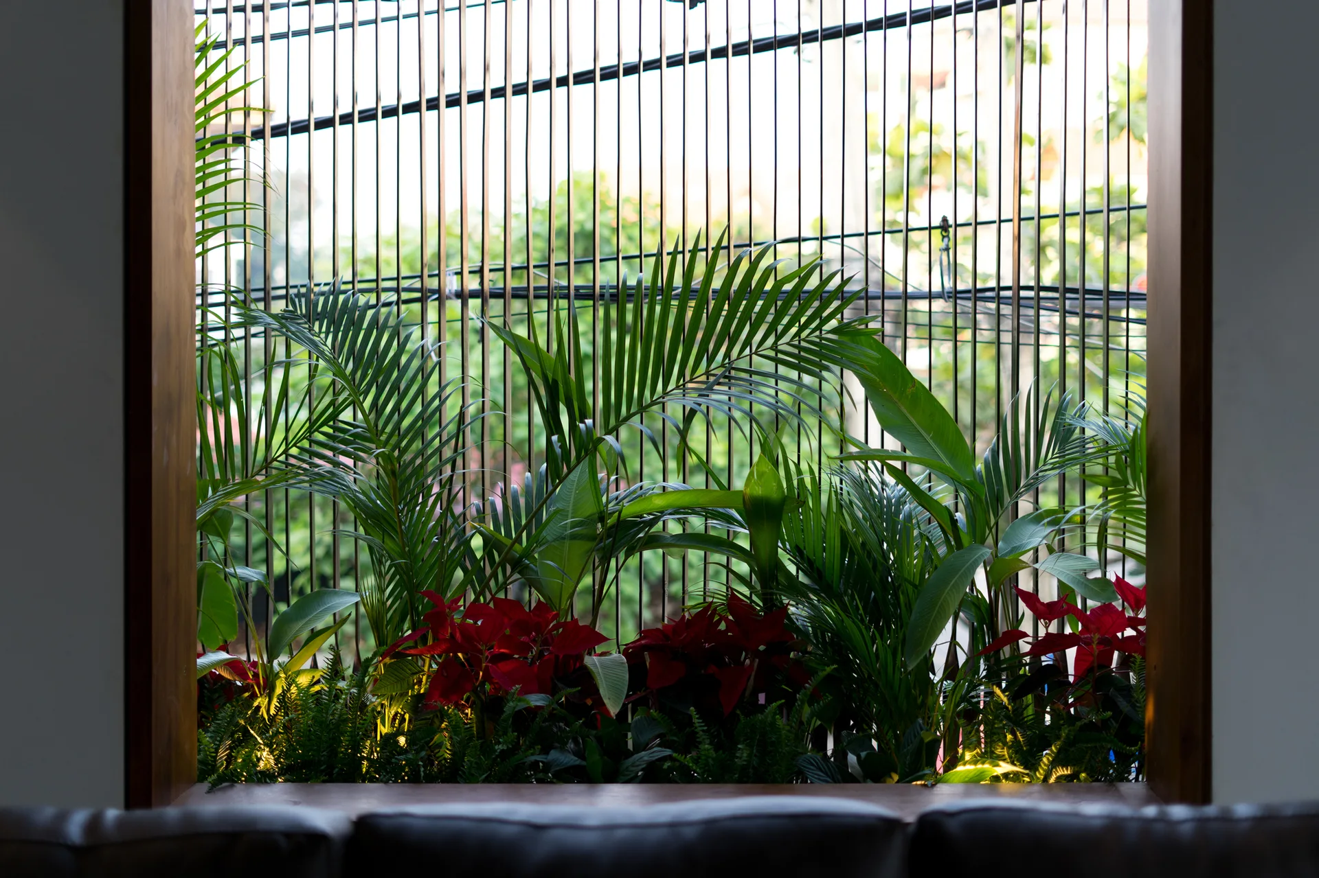 A wooden window frame showcases a collection of green plants and red poinsettias behind a vertical metal bar screen, with a leather sofa below.