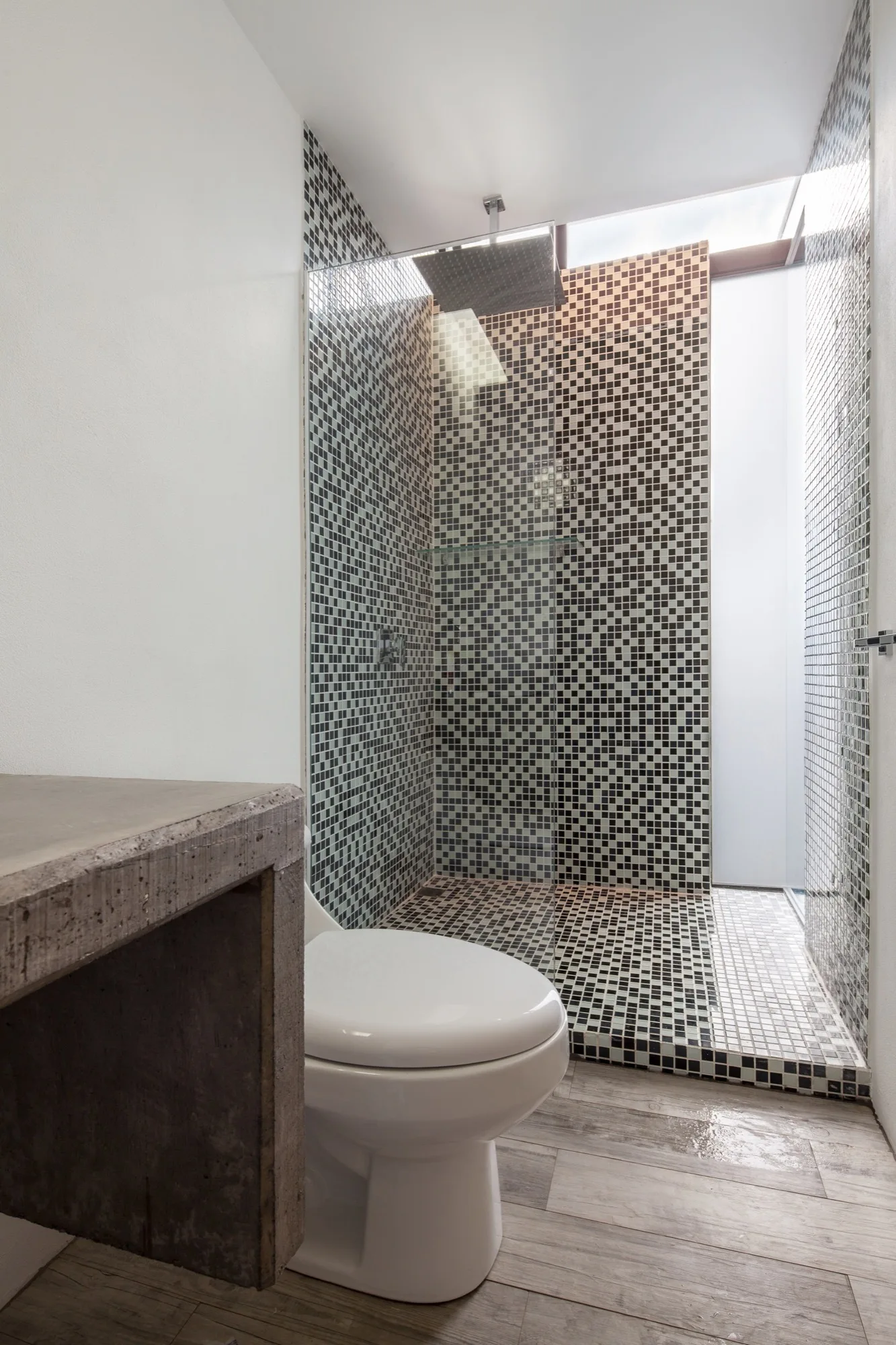A modern bathroom features a toilet, a rough concrete vanity, and a walk-in shower clad in black and white mosaic tiles under a skylight.