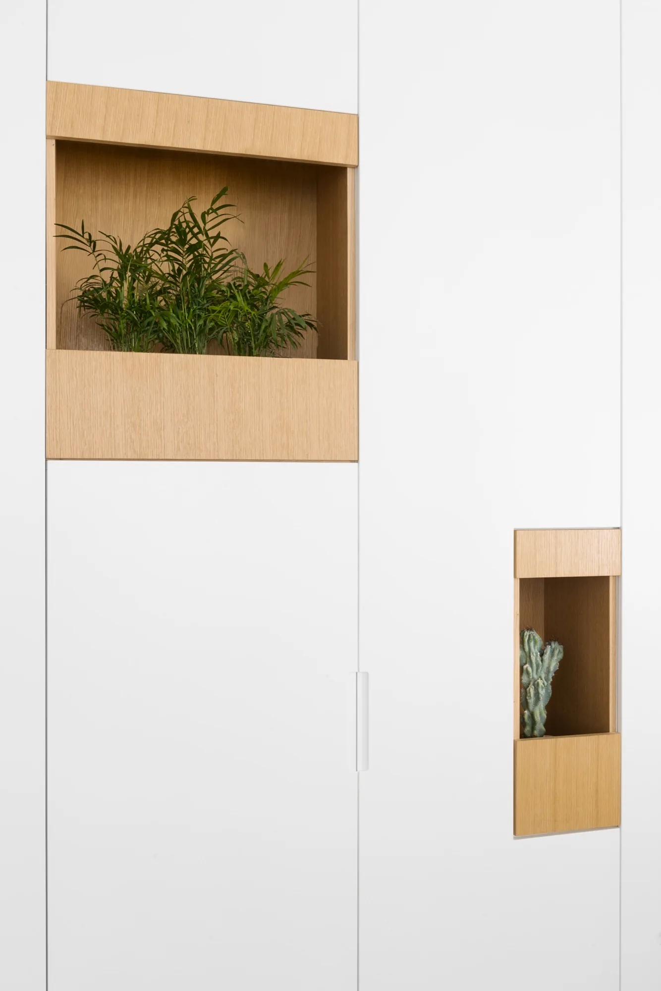 Close-up of a minimalist matte white cabinet featuring two asymmetric recessed wood alcoves holding a houseplant and a small cactus.