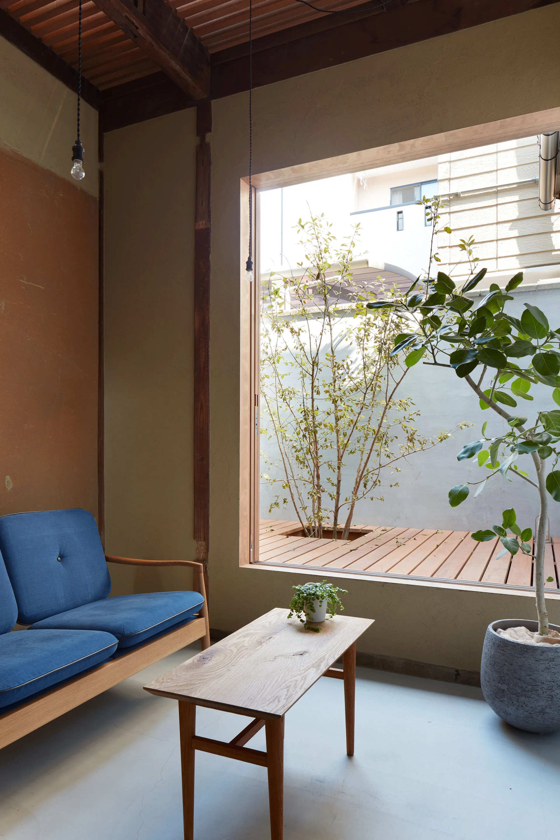 A minimalist living room features a blue sofa and wooden coffee table next to a large picture window overlooking a courtyard deck with a small tree.