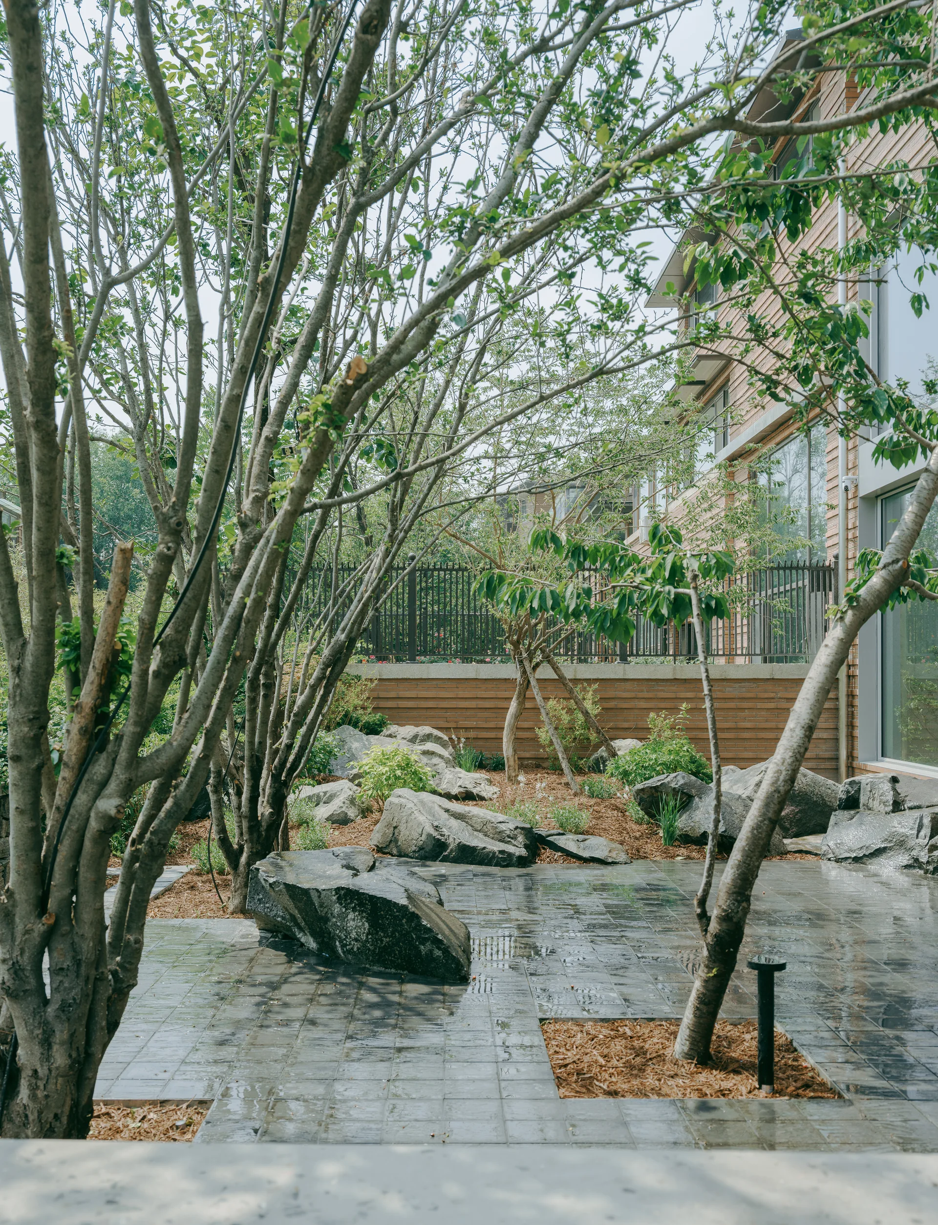A wet stone-paved courtyard garden featuring large grey boulders, mature trees in square cutouts, and a modern wood-clad building exterior.