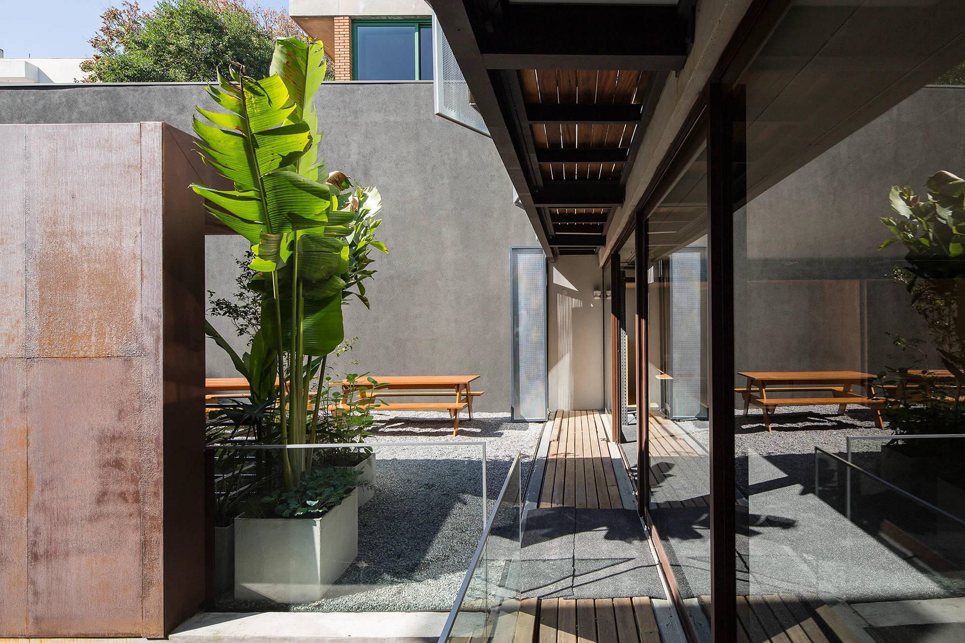 A modern outdoor courtyard featuring a gravel ground, wooden benches, a wooden plank walkway, and a large tropical banana plant in a concrete planter.