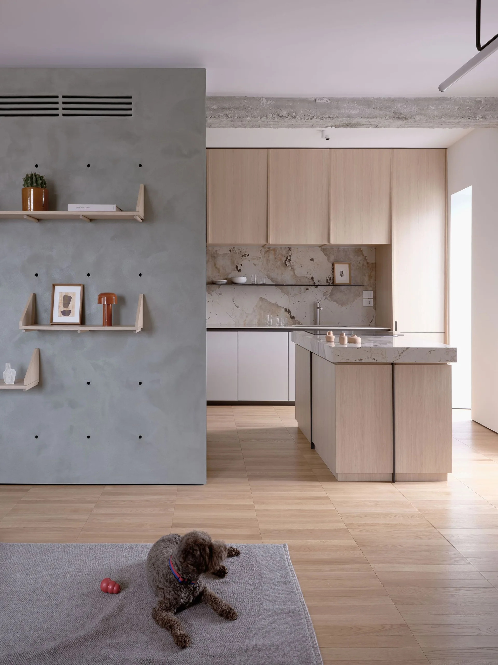 A minimalist kitchen features a pale wood island and matching cabinetry behind a smooth grey concrete partition wall decorated with wooden shelves.